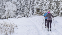 lyže cross-country-skiing-5908416 1280